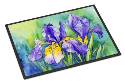 NEW Tennessee Iris in Watercolor Doormat Front Door Mat Indoor Outdoor Rugs for Entryway, Non Slip Washable Low Pile, 18H X 27W
